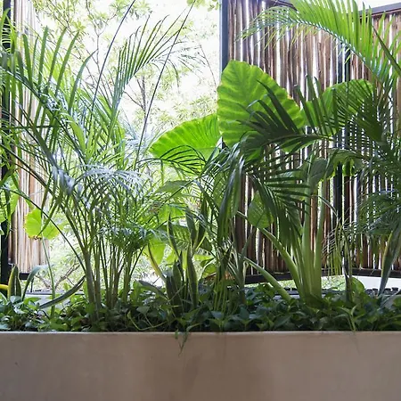 Artiacondos Tulum