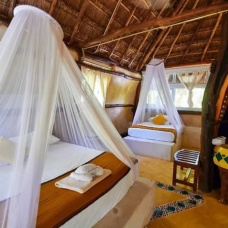 Hotel Lamar Front And Pool Tulum