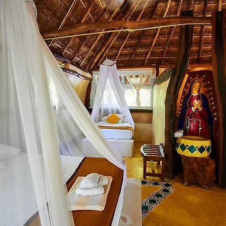 Lamar Front And Pool Hotel 3*