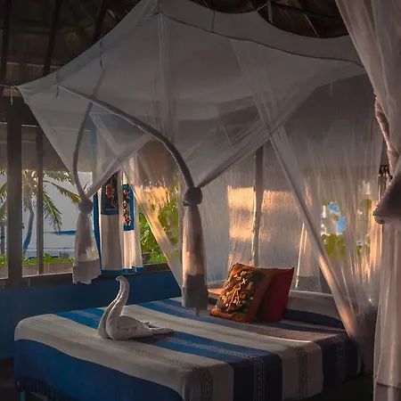 Hemingway Romantic Eco