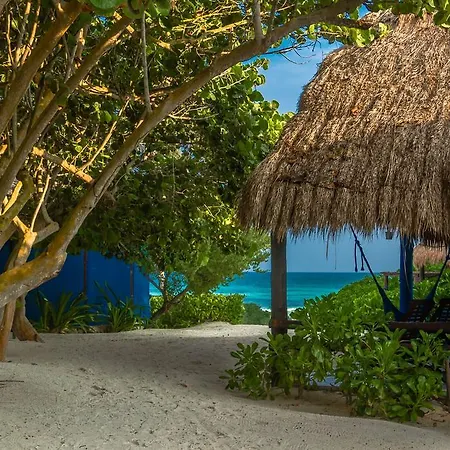 Hemingway Romantic Eco 4*