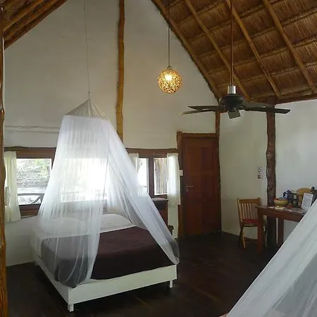 Amoreira Tulum