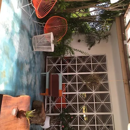 Teetotum Tulum