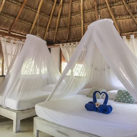Maya Lodge *