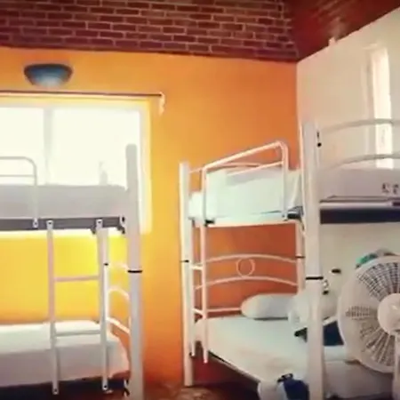 Weary Traveler Hostel Tulum