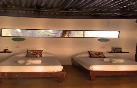 Tunich Jungle Guest house