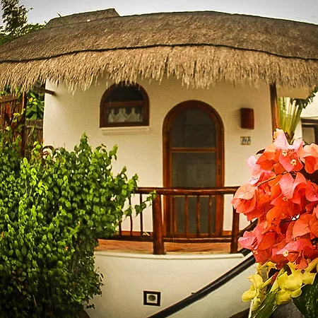 Hotel Yum Kin 4*