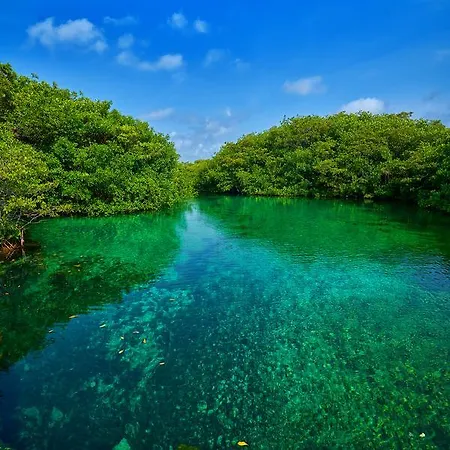 Casa Cenote *