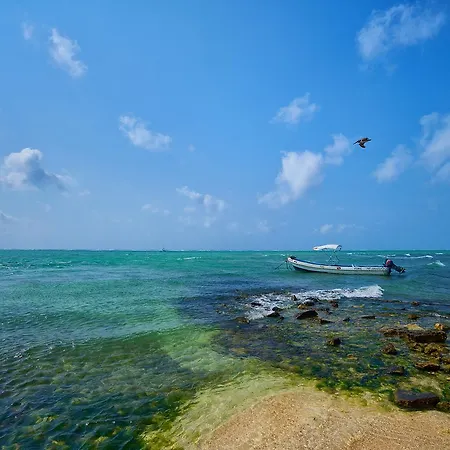 Casa Cenote * Tulum