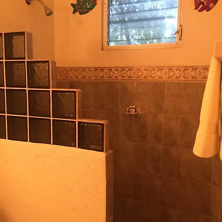 Casa Cenote *