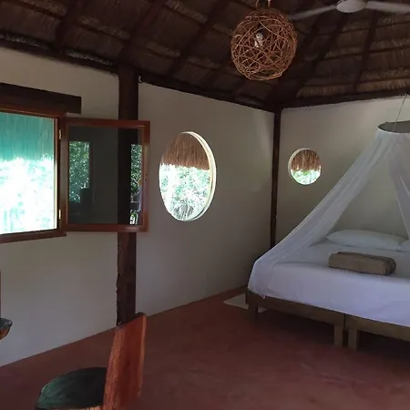 Lodge Dive