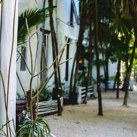 Hotel Casa Ambar & Boutique - Party Side (adults Only) Tulum