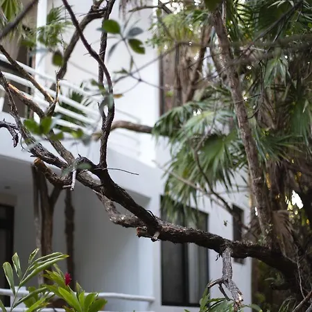 Casa Ambar & Boutique - Party Side (adults Only) Tulum