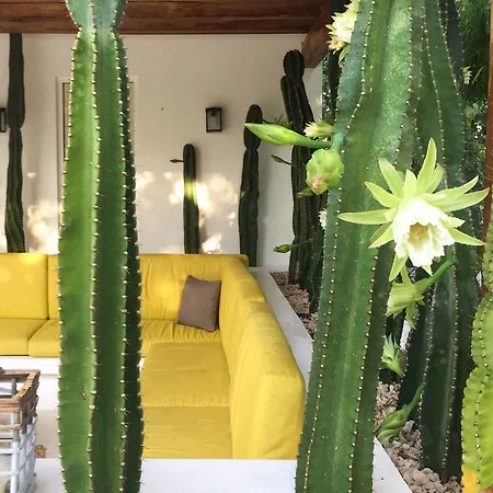 Villa Luxury Private , Private Pool, Private Garden, Jacuzzi, 24hours Security