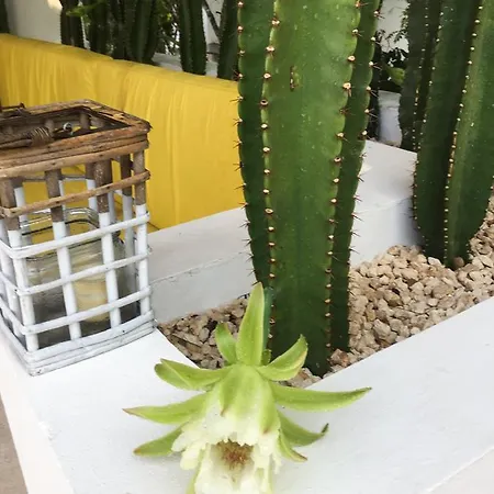 Villa Luxury Private , Private Pool, Private Garden, Jacuzzi, 24hours Security Tulum