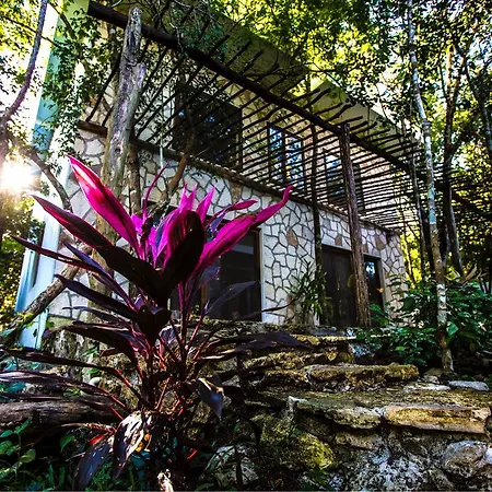 Bed and breakfast Escarabajo Rojo Tulum