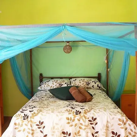 Casa Abanico Hotel Tulum