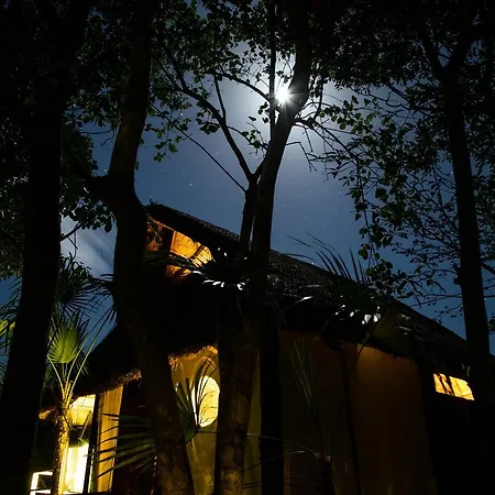 Zamna * Tulum