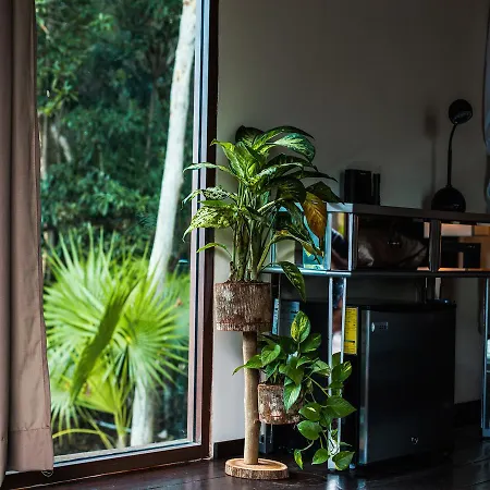 Zamna * Tulum
