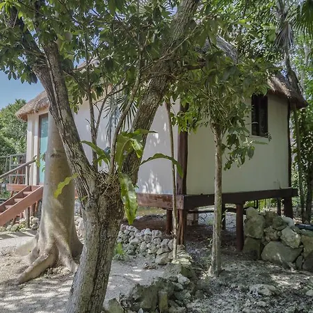 Zamna * Tulum