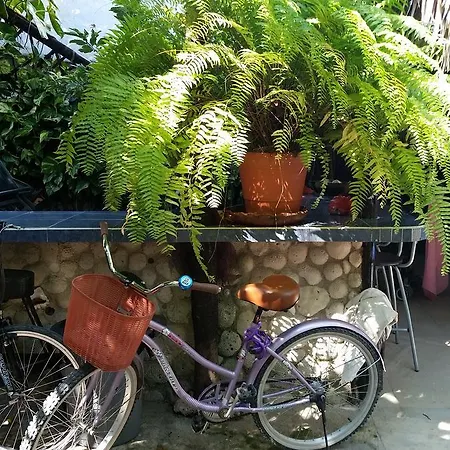 Hostal Rancho Tranquilo Tulum