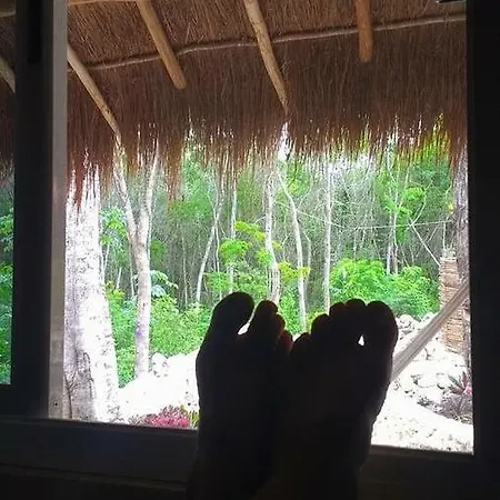 Casa Tzalam Selva Bed & Breakfast Tulum