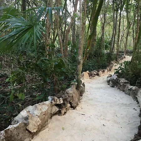 Casa Tzalam Selva Tulum