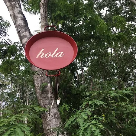 Casa Tzalam Selva Bed & Breakfast Tulum
