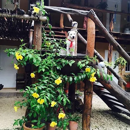 Casa Tzalam Selva Bed & Breakfast 4*