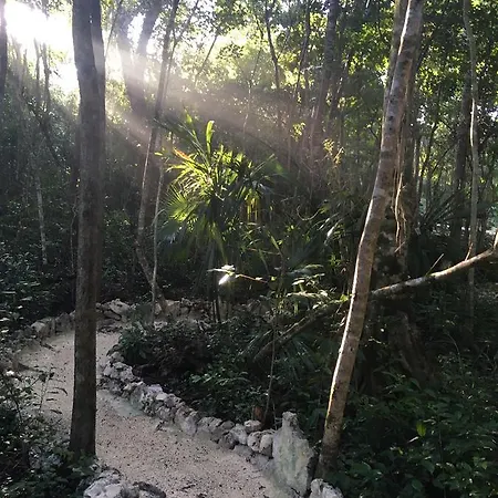 Casa Tzalam Selva Bed & Breakfast 4*