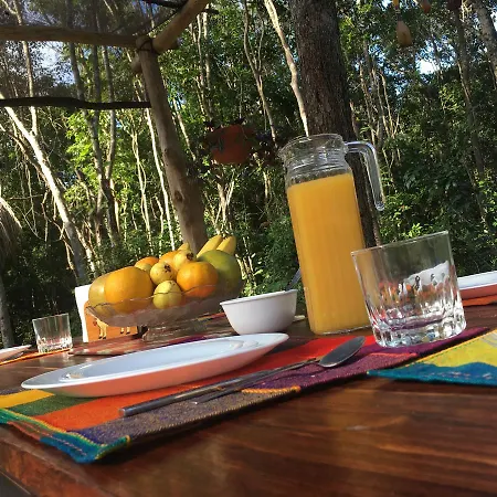 Casa Tzalam Selva 4* Tulum