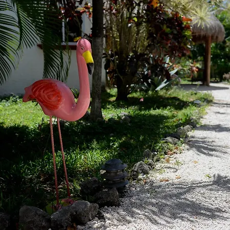 Tropical Tulum