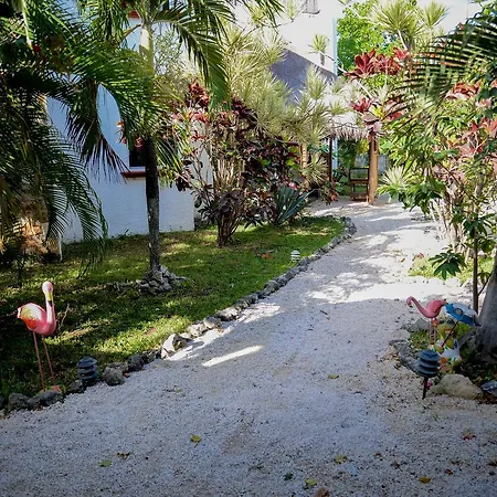 Tropical Apartment *