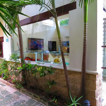 Xibalba Dive Center Hotel Tulum