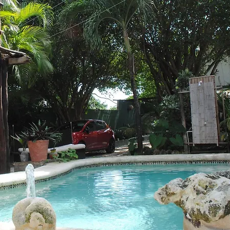 Hostal Lobo Inn Tulum *