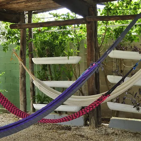 Lobo Inn Tulum *