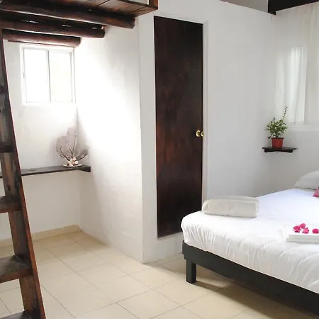 Lobo Inn Tulum
