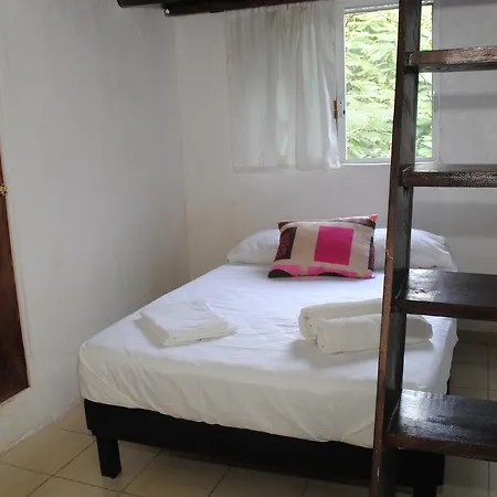 Lobo Inn Tulum Hostal