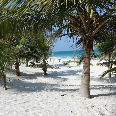 & Cabanas Zazil Kin Hotel 2*