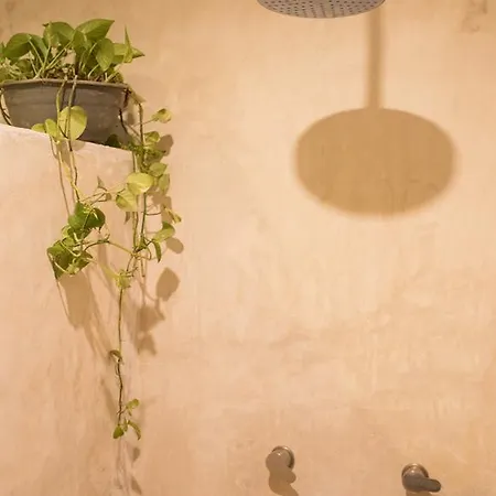 Hostel Cozy Private Glamping