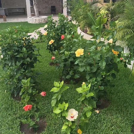 Boutique Jabin Hotel Tulum