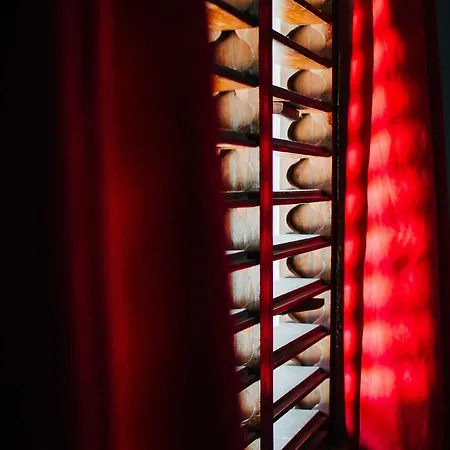 & Cabanas Zazil Kin Hotel 2*