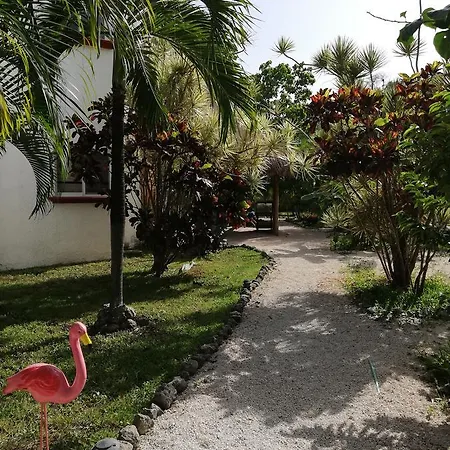 Hotel Maya Pax 3*