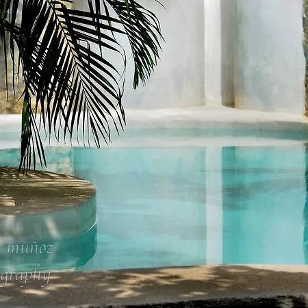 Pacha Boutique Hotel