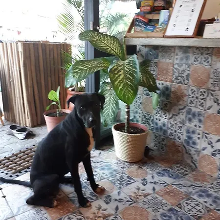 Naay Bej Hotel Tulum