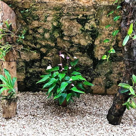 Boutique Jabin Tulum