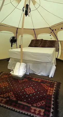 Harmony Glamping Boutique And Yoga Tulum