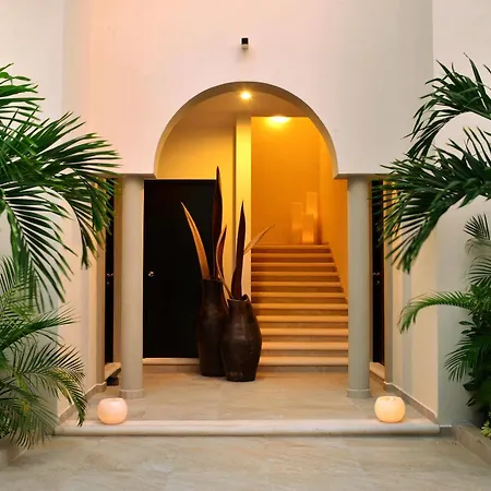Palms Apartment *