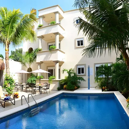 Palms