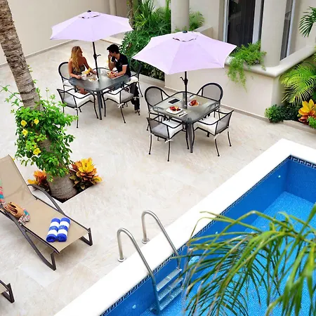 Palms Apartment